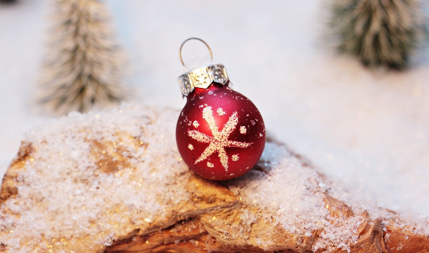 Gluten-Free Gift Guide