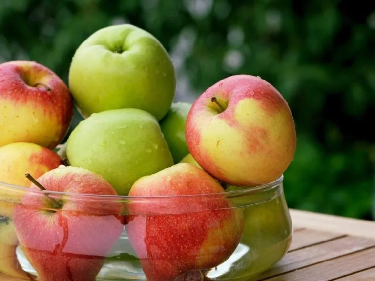 Apfelallergie: Welche Symptome gibt es, wie wird getestet und welche Behandlungsmöglichkeiten gibt es?