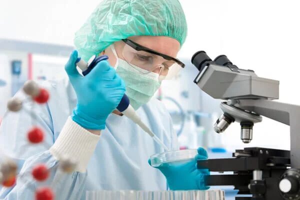 Unsere Wissenschaft